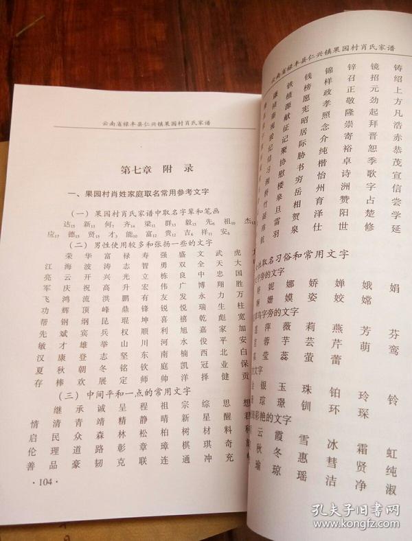 肖氏家谱.16开本107页码.一号箱.