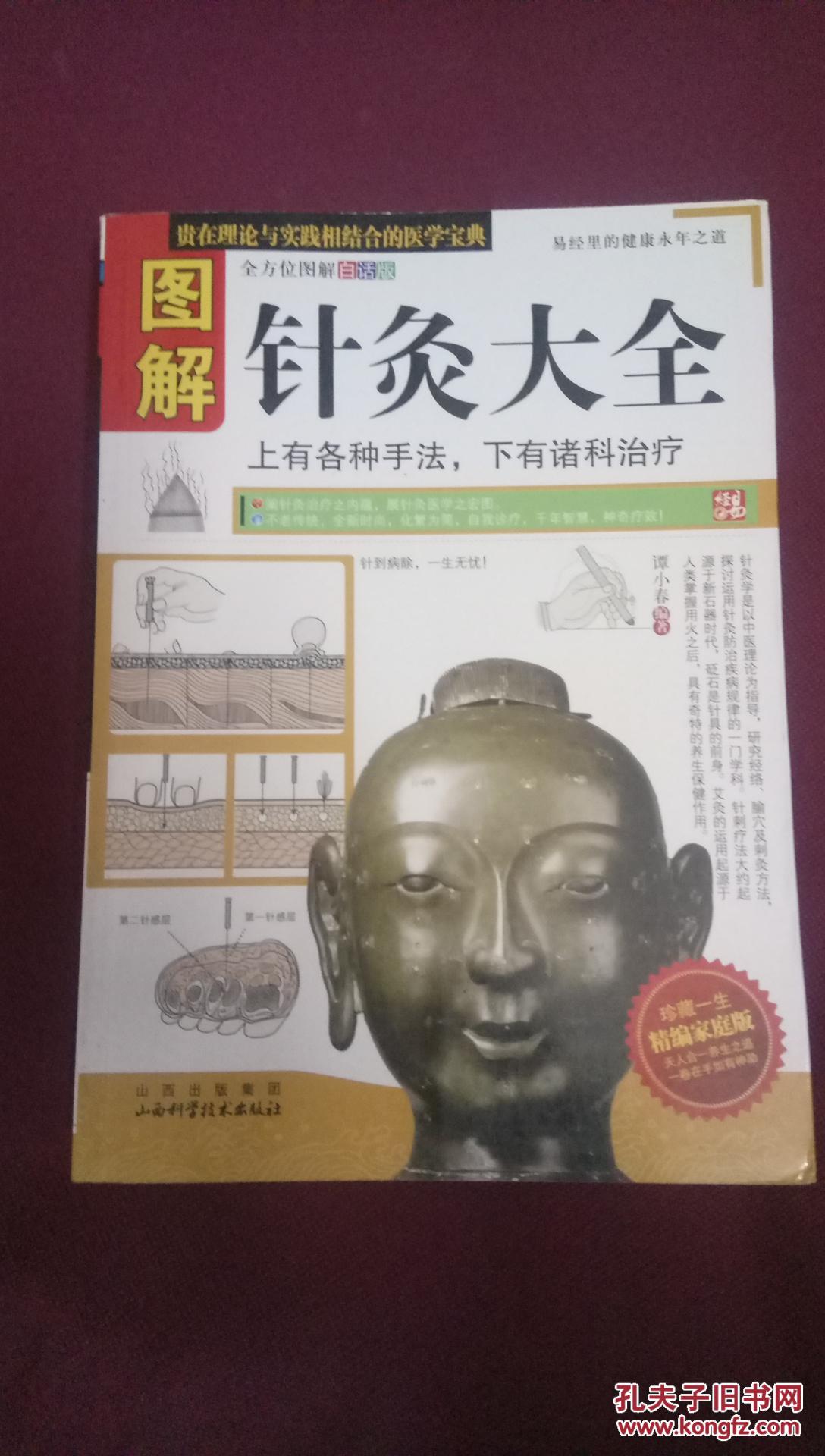 图解针灸大全