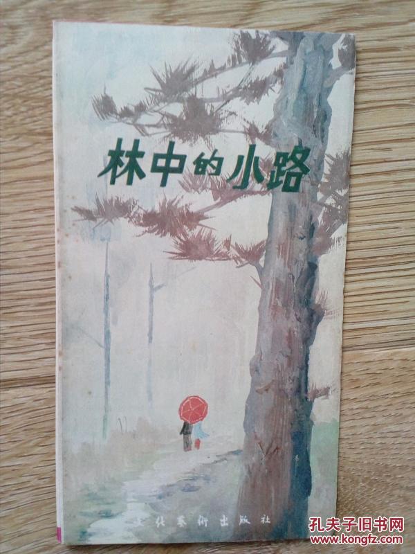 林中的小路简谱_林中小路图片