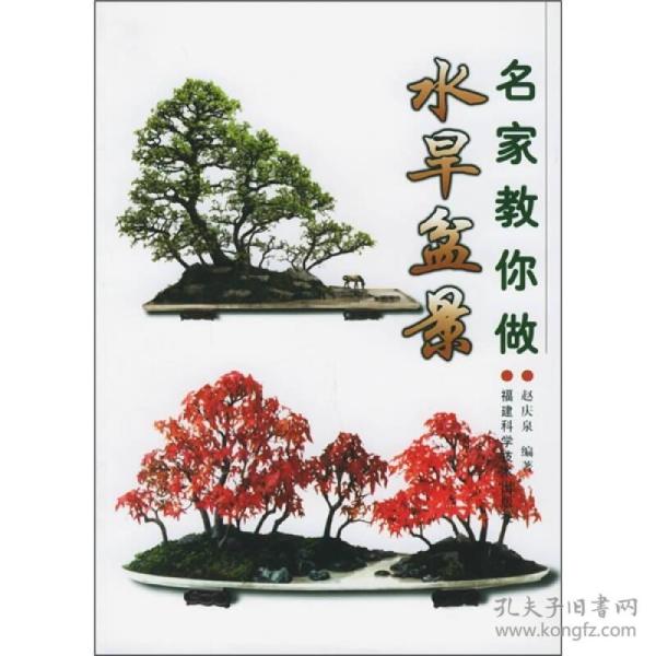 名家教你做水旱盆景