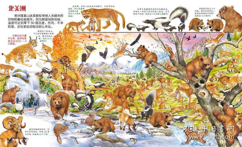 动物捉迷藏:动物和它们的宝宝 [3-6岁]