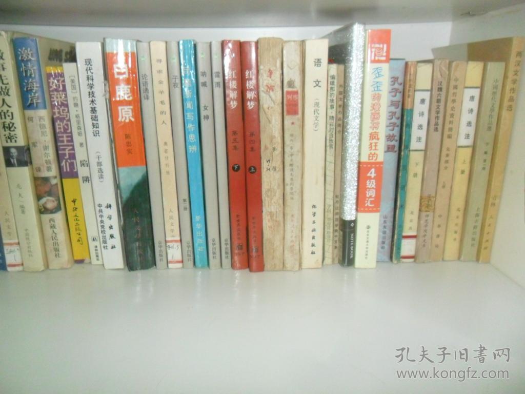 酒吧 酒店 单位书柜摆放库存处理清仓书籍批发 【书墙,捐书系列】
