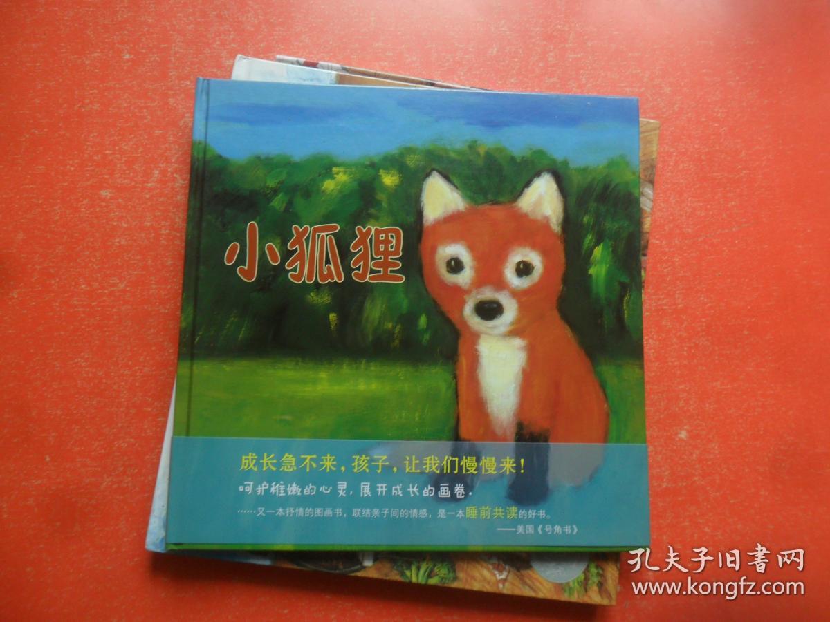 小狐狸 麦克米伦世纪(12开精装)_凯特班克斯 乔治哈朗