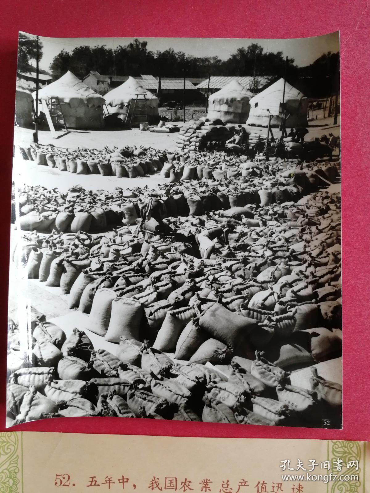 大跃进老照片《河北通县粮库,粮食入库》1959年