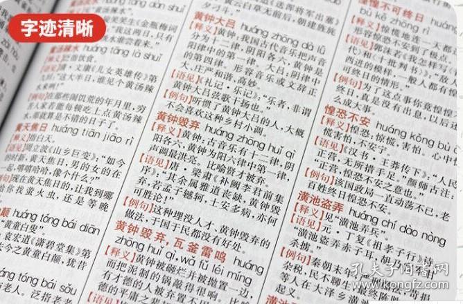 正版 汉语成语大全第3版 双色本精装 第三版现代汉语词典成语大词典