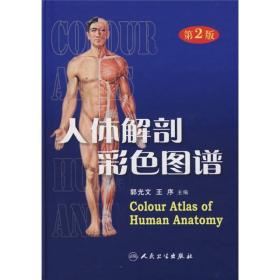 人体解剖彩色图谱(精)