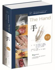 骨科标准手术技术丛书：手