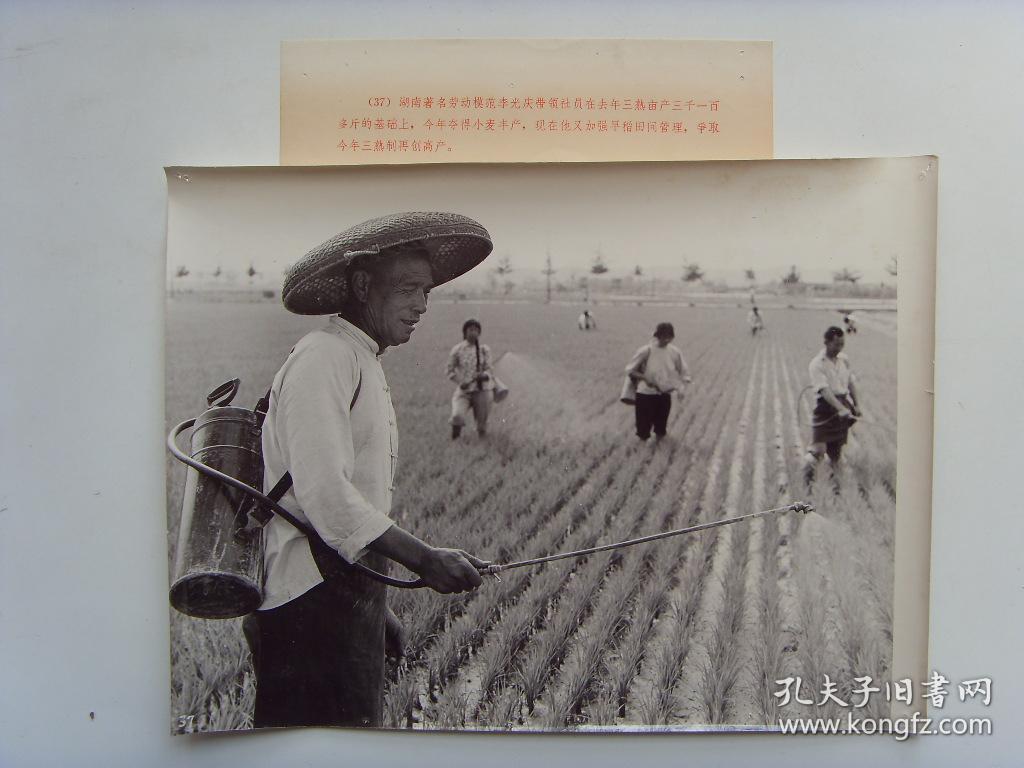 超大尺寸老照片:【※1970年,湖南省桃源县,全国著名劳模--李光庆※】