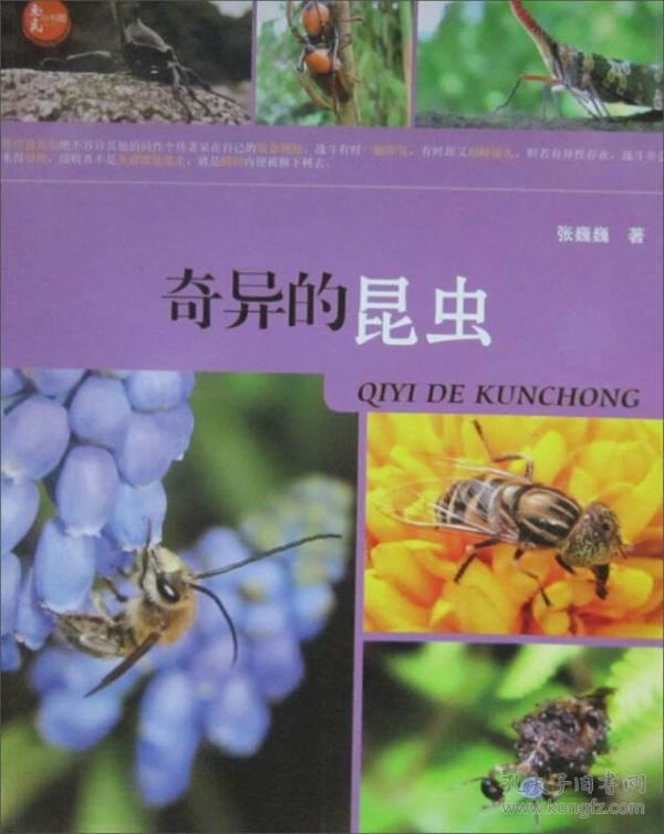 解析梦境中的奇异体验，想问一下梦见吃虫子是怎么回事？