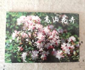 高山花卉（明信片）