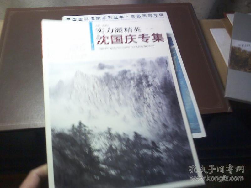 实力派精英 沈国庆专集(连云港市东海县著名山水画家)