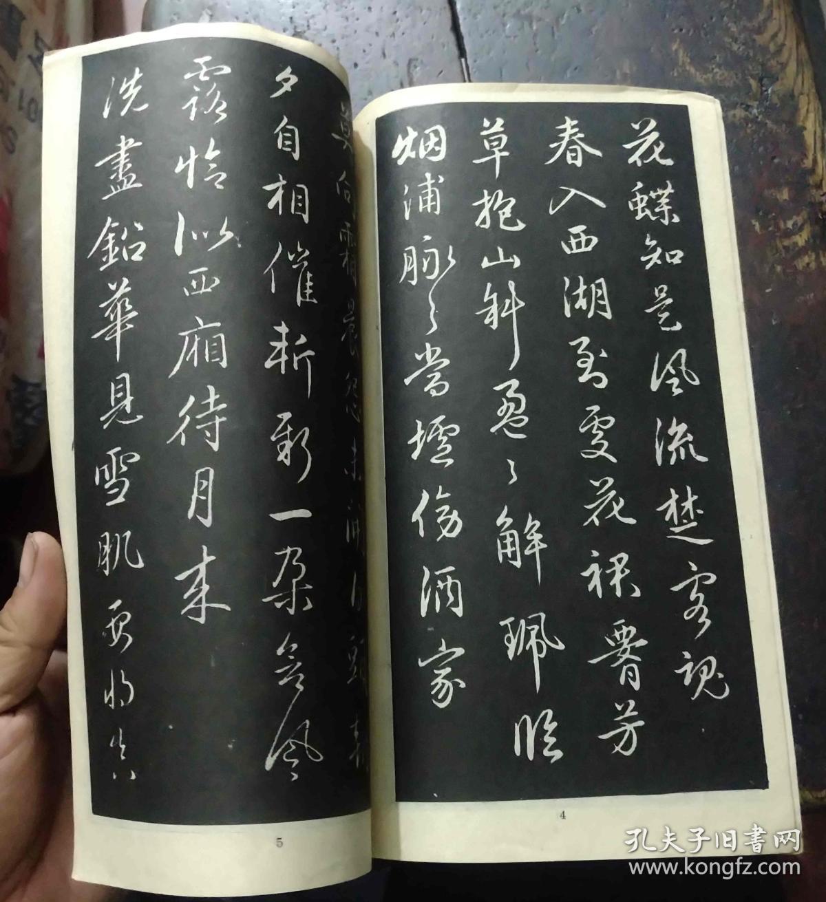 赵孟頫行书梅花诗