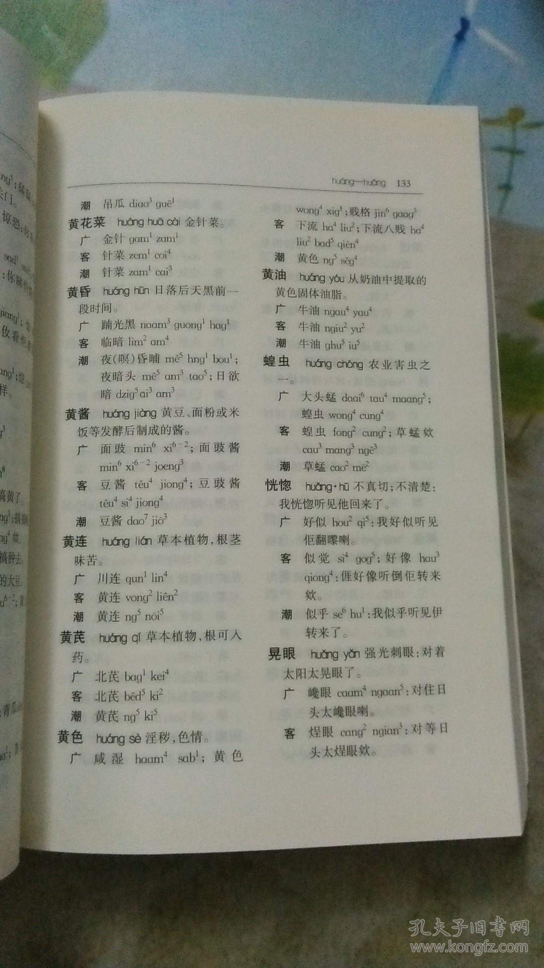 广州话,客家话,潮汕话与普通话对照词典