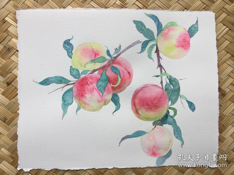 水彩画《寿桃》1
