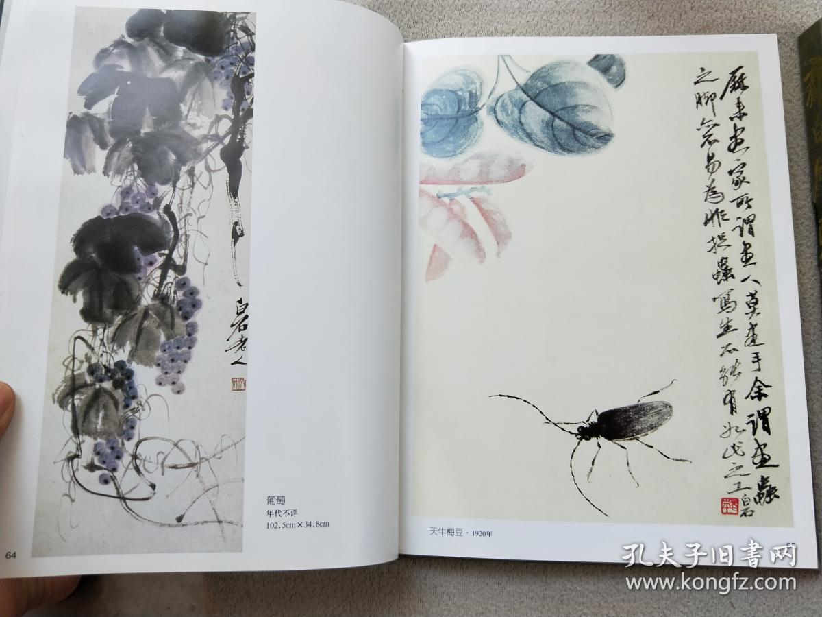 孔网158,齐白石画集,一套上下册,发行少,收录了齐白石