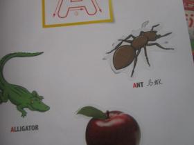 拉法法英语小镇1(1,1-1,5),2(2.7-2.12) 册 共计2