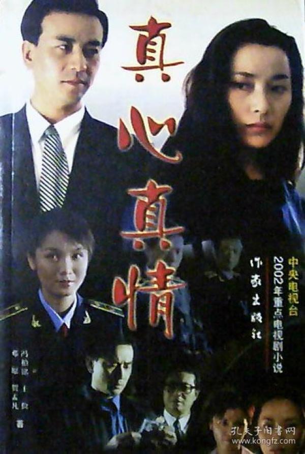 真心真情:中央电视台2002年重点电视剧小说