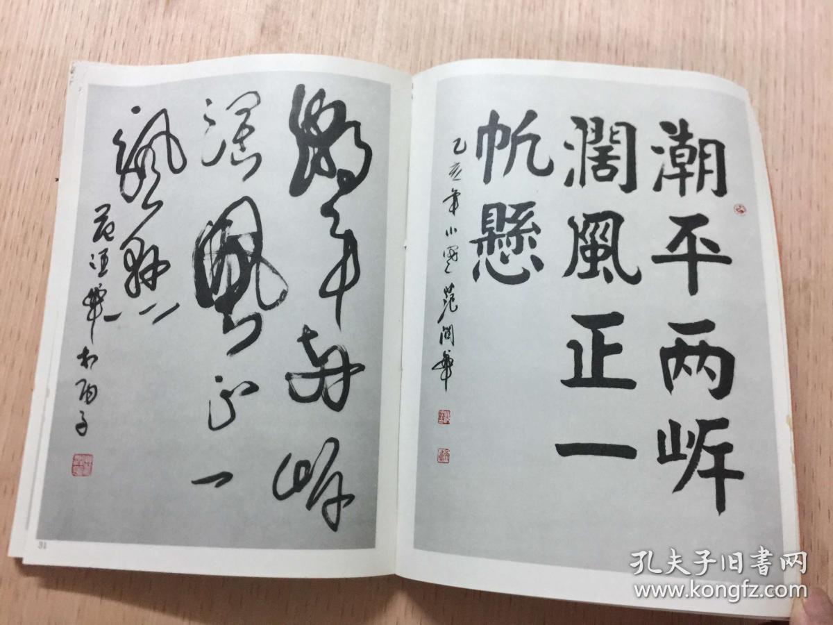 范润华楷狂对照选(五言联语)