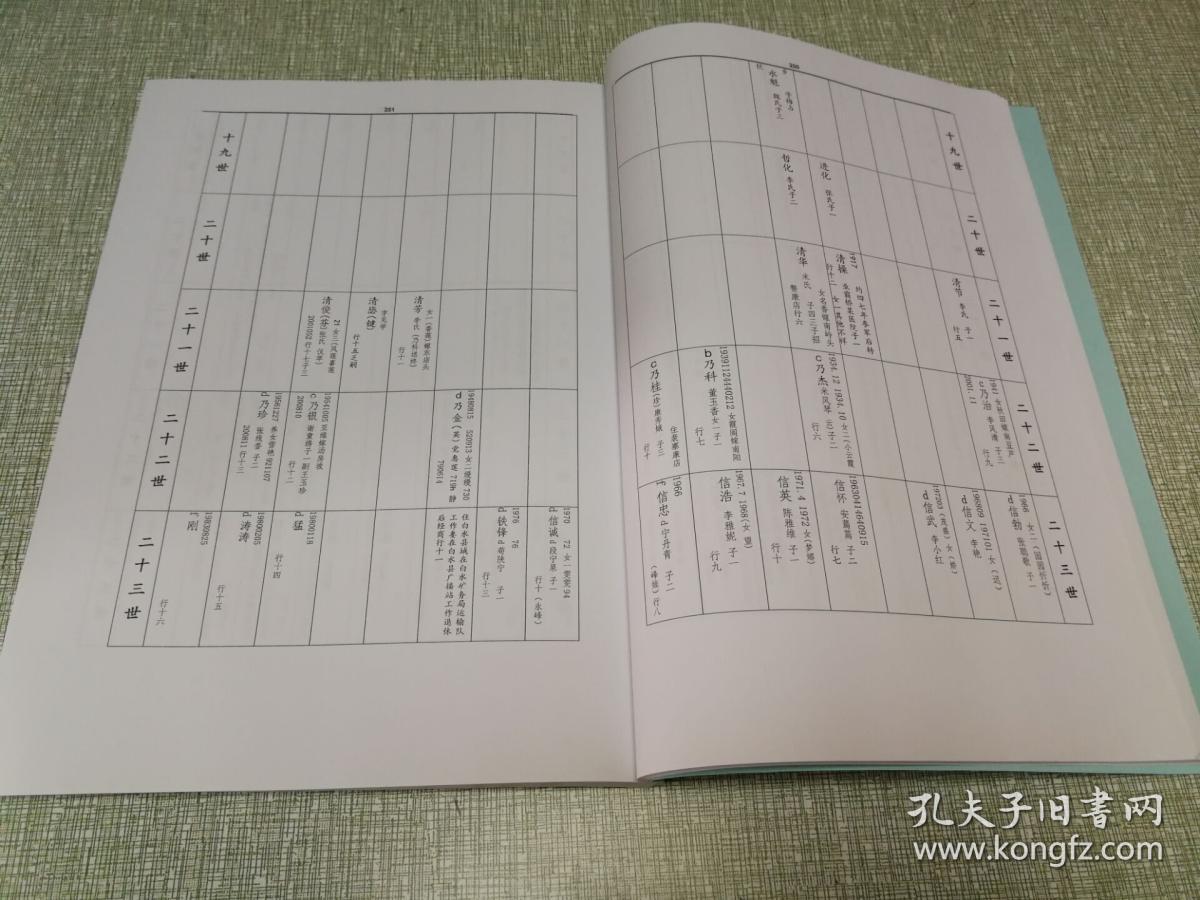 (家谱族谱类)凉马王氏族谱(四册)