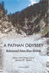 a pathan odyssey