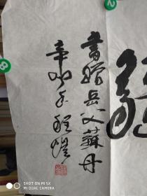 作曲名家,程恺 ,行书横幅,【寿无疆】