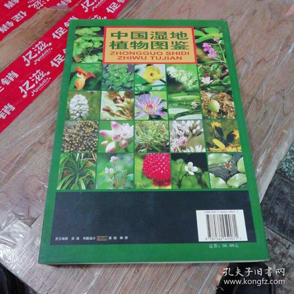 中国湿地植物图鉴_王辰,王英伟 著_孔夫子旧书网