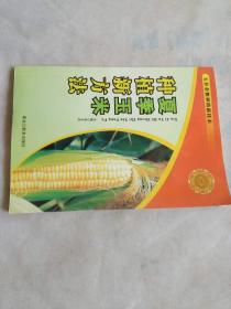 夏季玉米种植新方法  五谷杂粮种植新技术