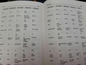 突厥语综合词典--土耳其语、鞑靼语、巴什基尔