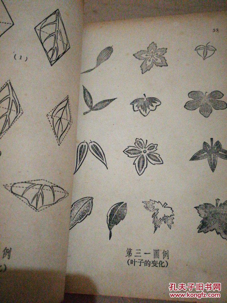 基础图案画法