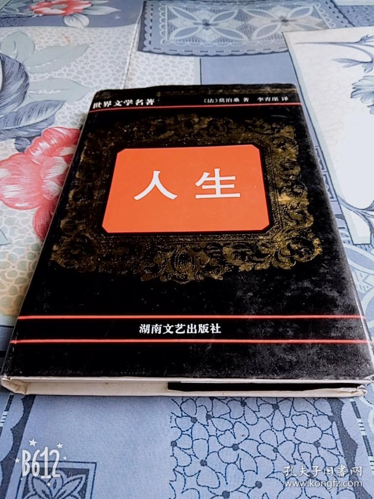 世界文学名著 人生 双重家庭 三凤求凰 奥拉斯 亲和力