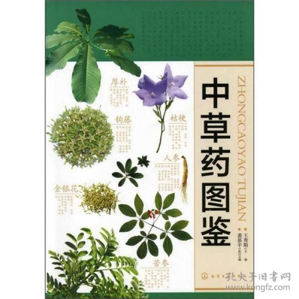 中草药图鉴(王秀娟 编)_简介_价格_医药卫生书籍_孔网