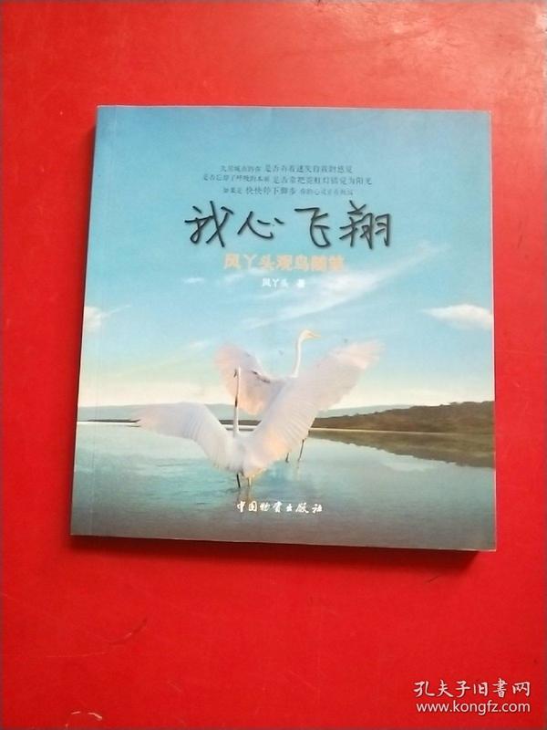 我心飞翔:风丫头观鸟随笔