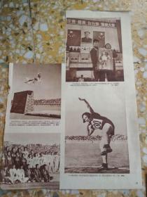 1953老画报彩页  一张        （体育运动）