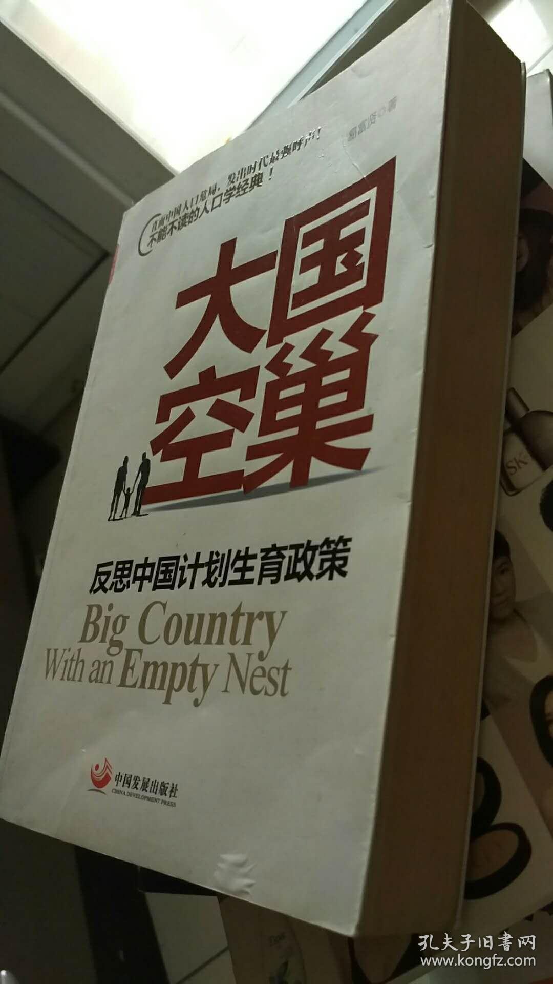 大国空巢 :反思中国计划生育政策 ( 正版现货 )