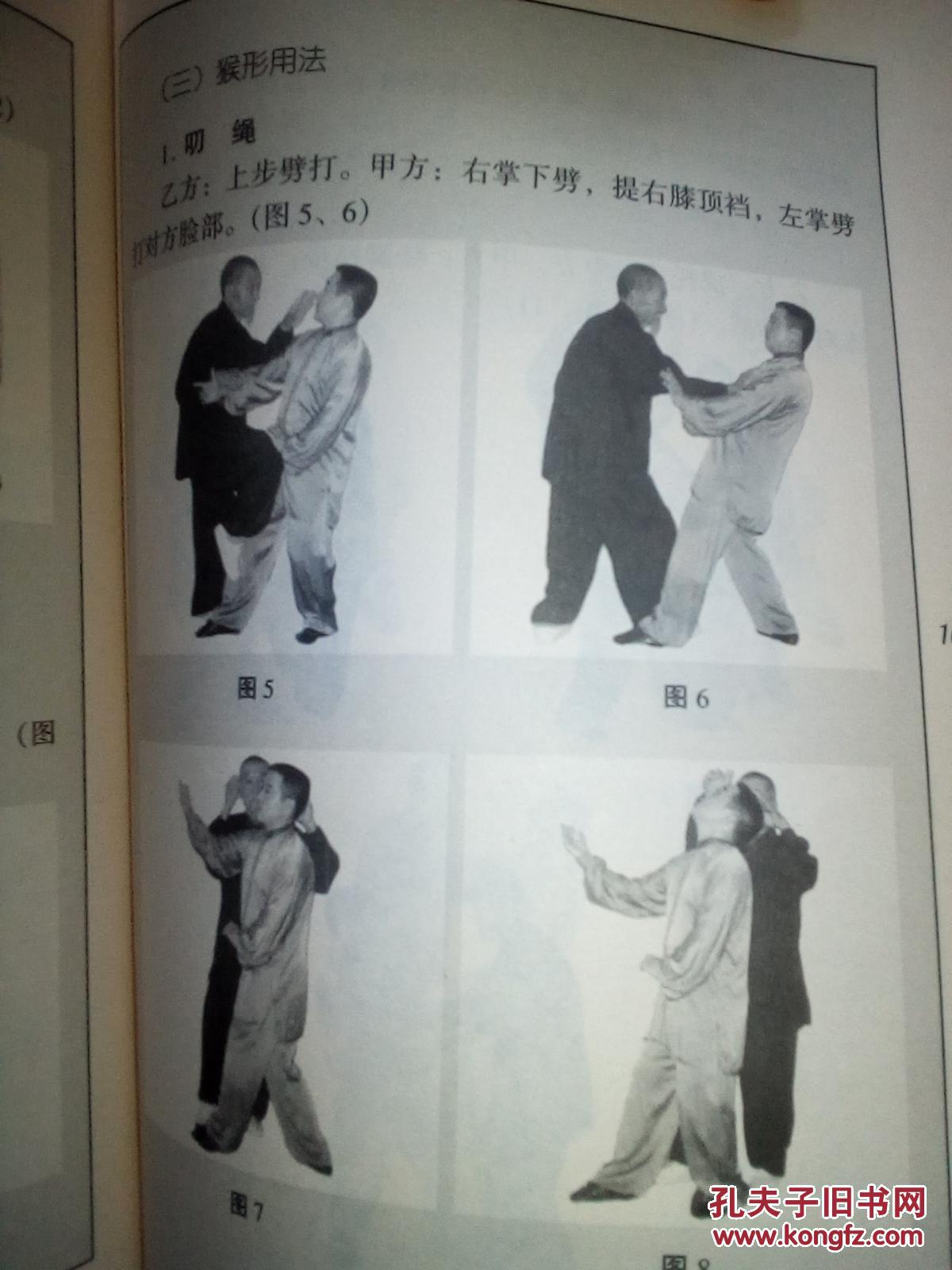 形意拳真传图谱
