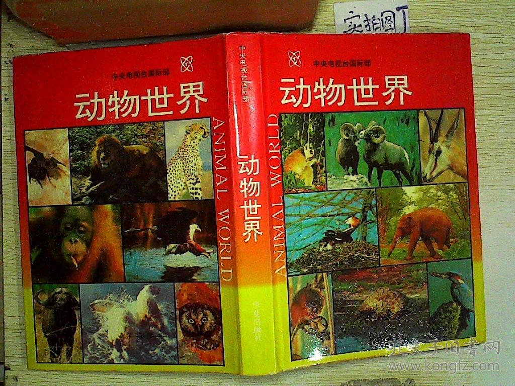 动物世界(中央电视台国际部)