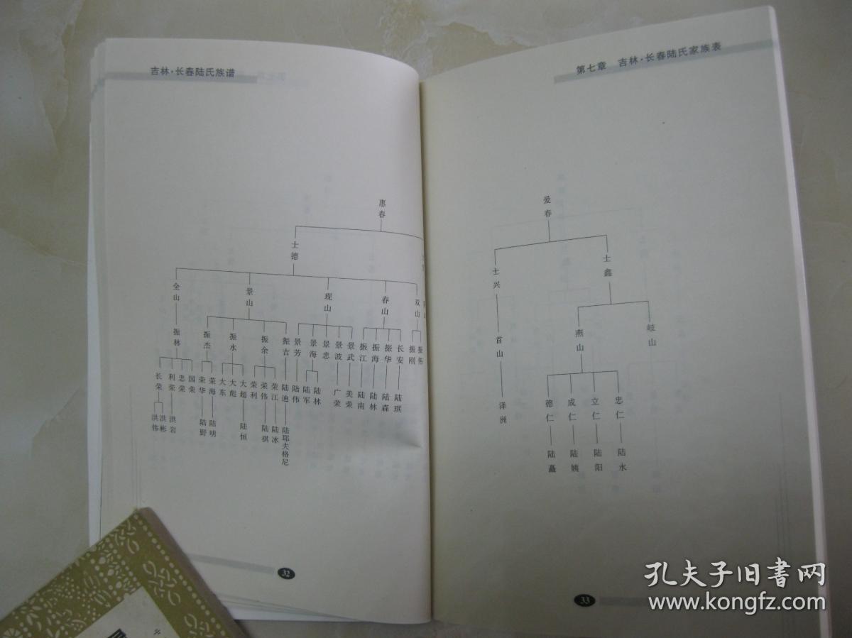 清朝嘉庆年间,陆氏祖先自直隶省顺天府丰润县岳粮庄举家北迁至吉林