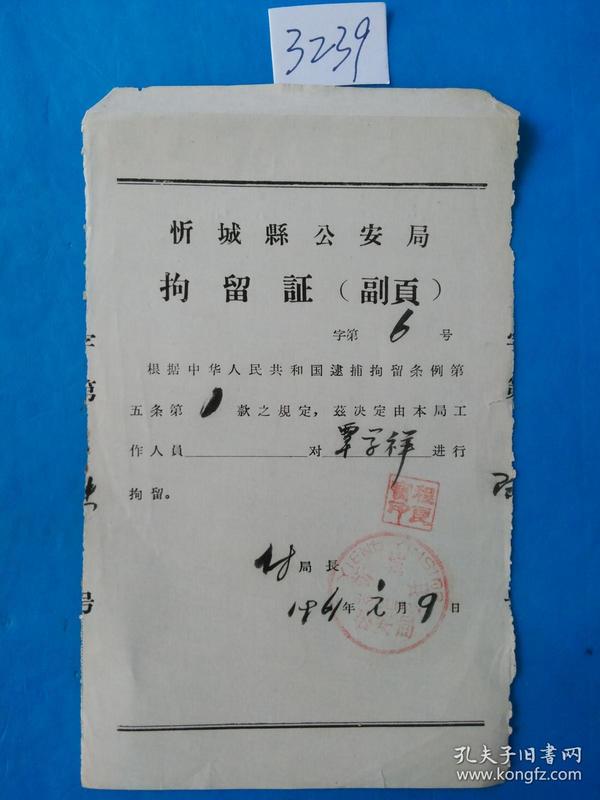 新中国建国初期 广西忻城县公安局 拘留证(2)毛笔书写 稀少