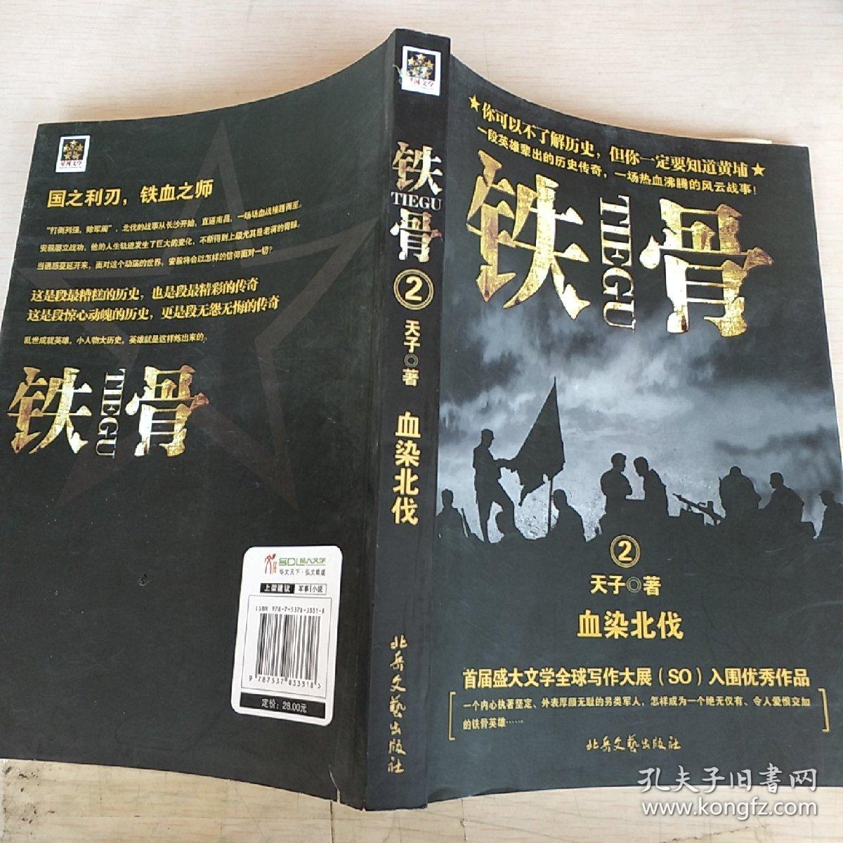 铁骨2:血染北伐