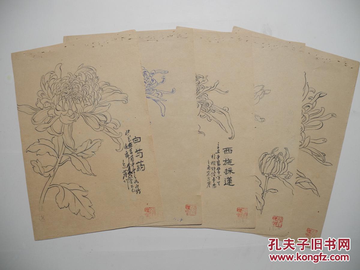 【名家墨迹】福州肖像画大家林逸尘的白描花卉之二《白芍药》装裱:墨