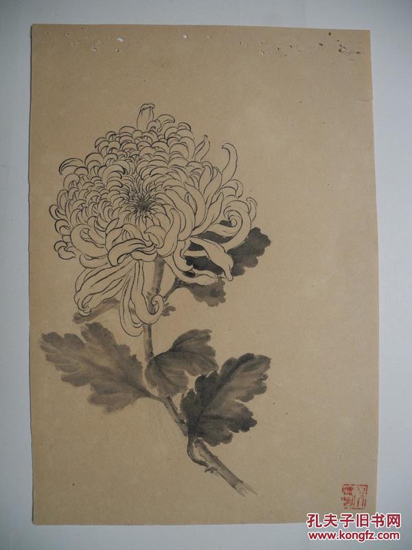 【名家墨迹】福州肖像画大家林逸尘的白描花卉