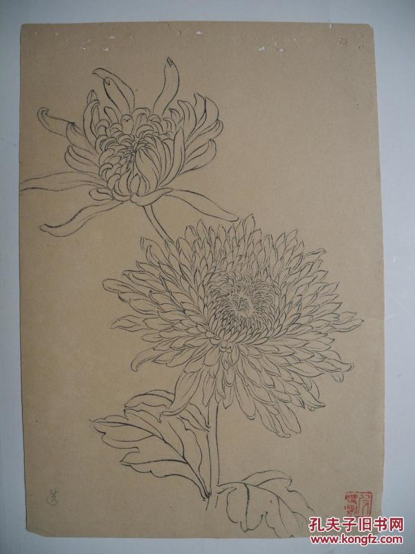 【名家墨迹】福州肖像画大家林逸尘的白描花卉