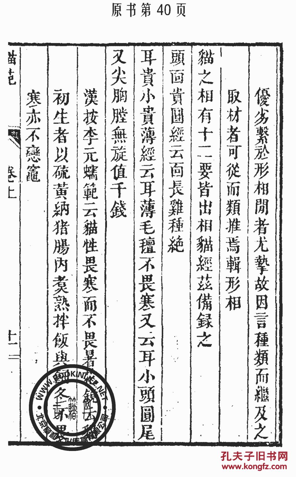 复印件猫苑黄汉