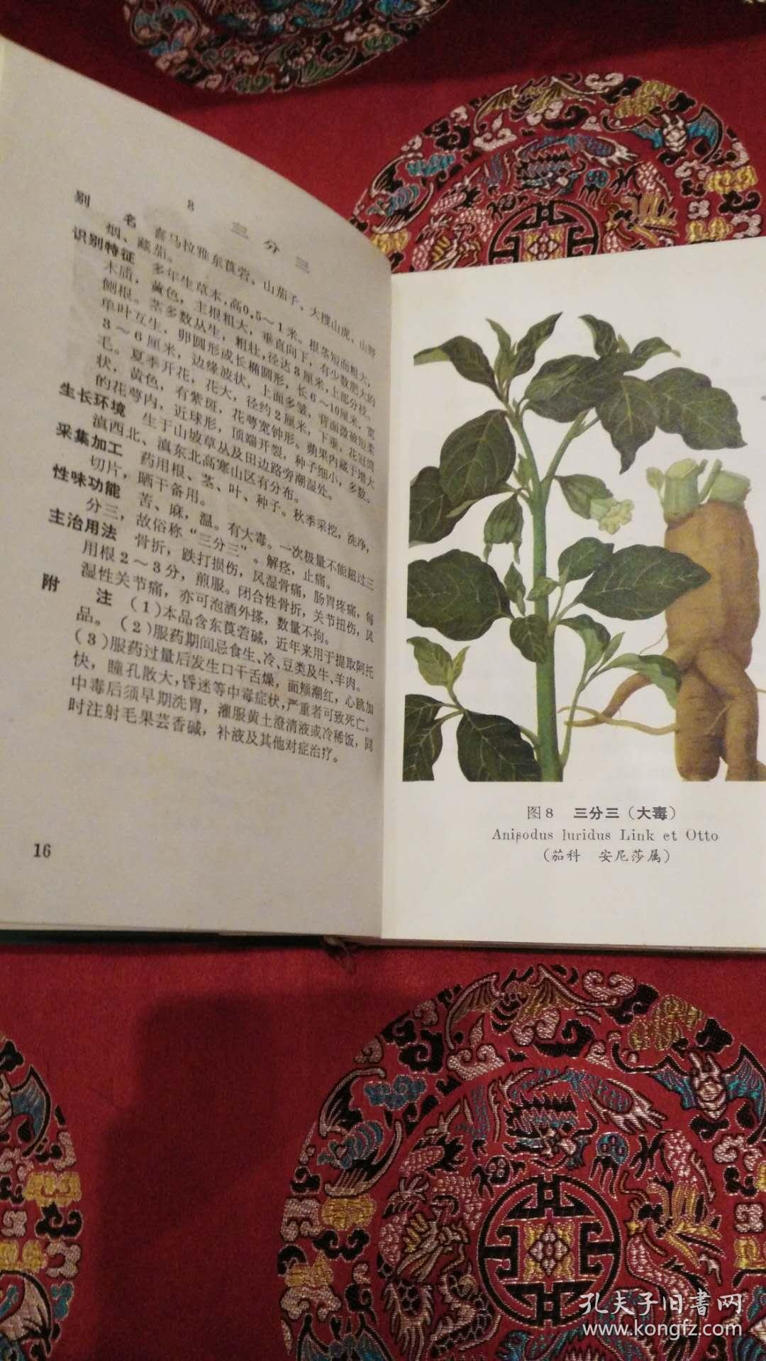 云南中草药选