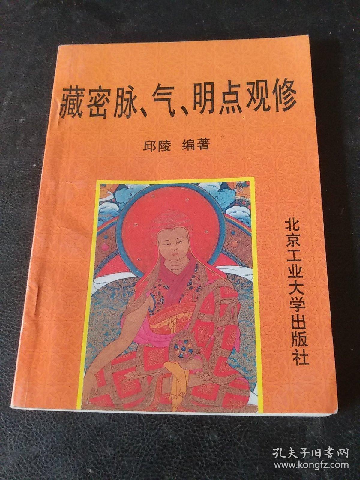藏密脉气明点观修