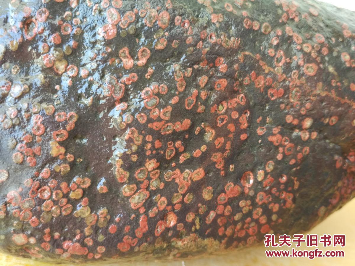 洛阳精品梅花石原石"红梅漫山"(石型似山,红色圈点布满石面)