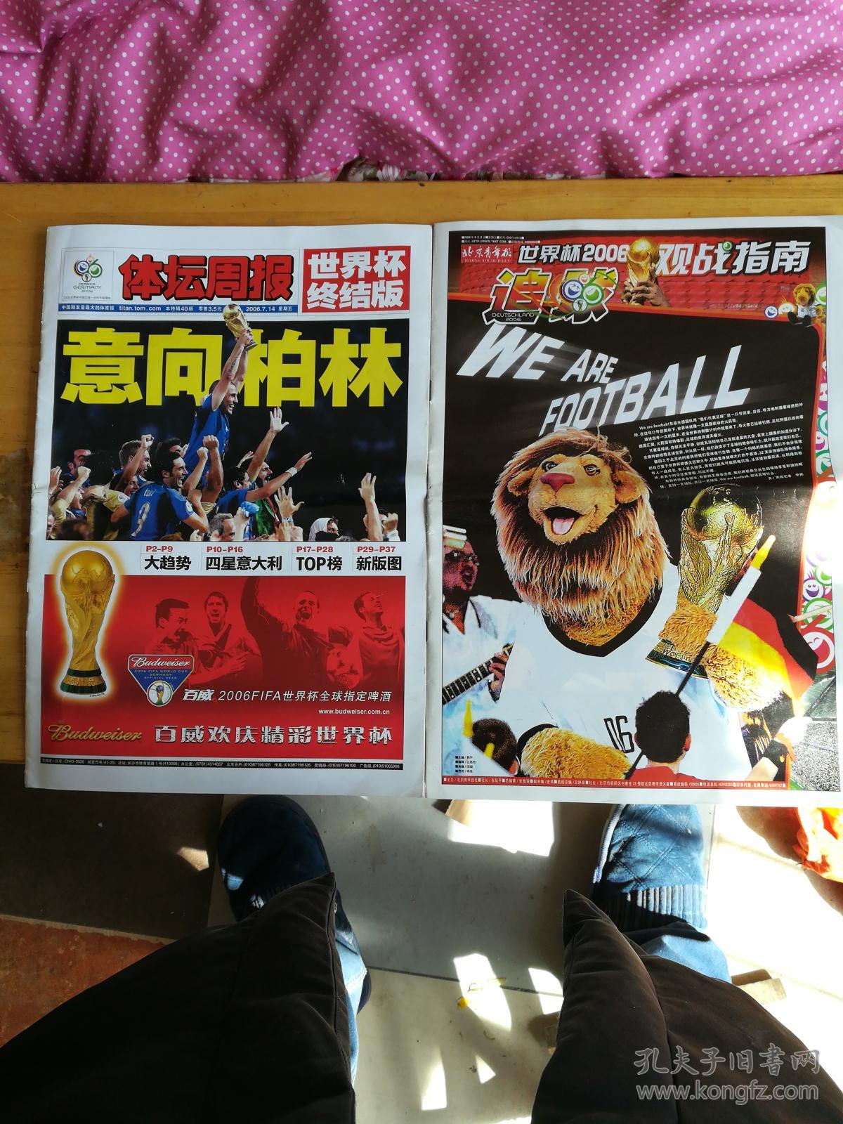 体坛周报世界杯终结版+世界杯2006观战指南【
