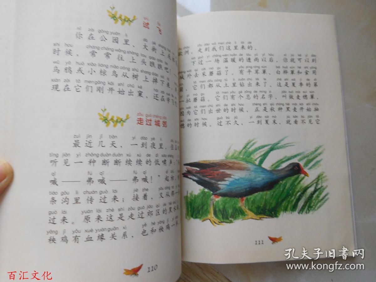 森林报(春)(彩色注音版)