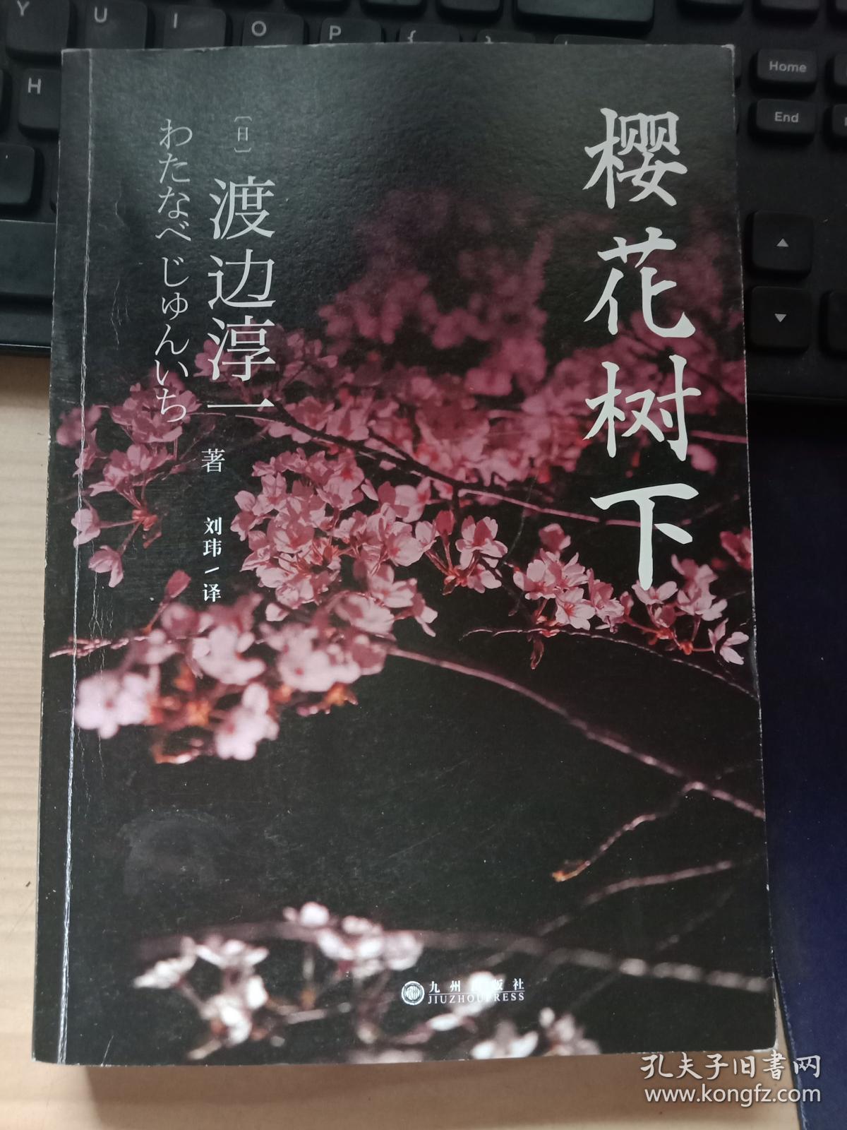 樱花树下 渡边淳一