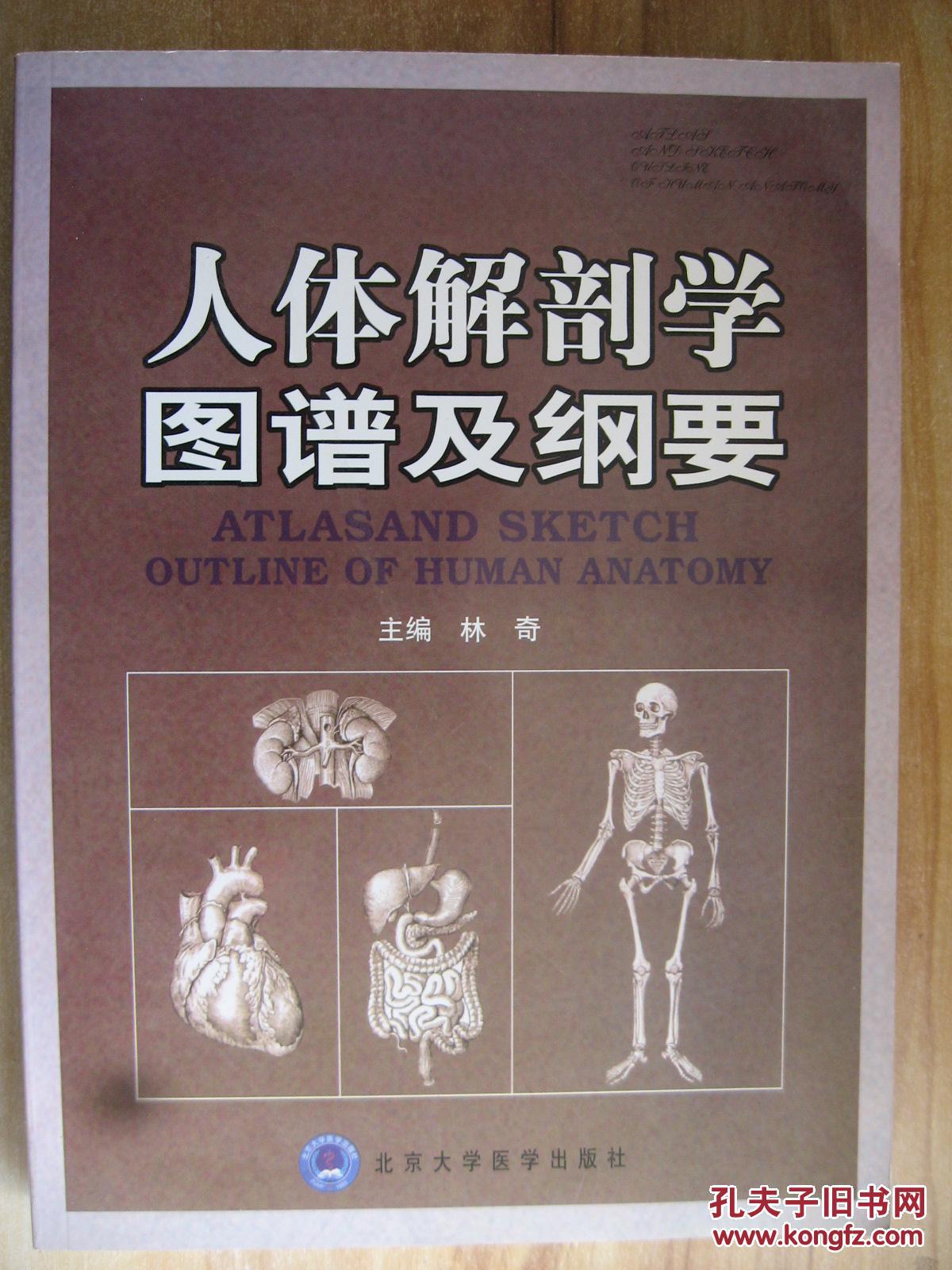 人体解剖学图谱及纲要